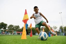 从二军到主力：中职球员真实奋斗史